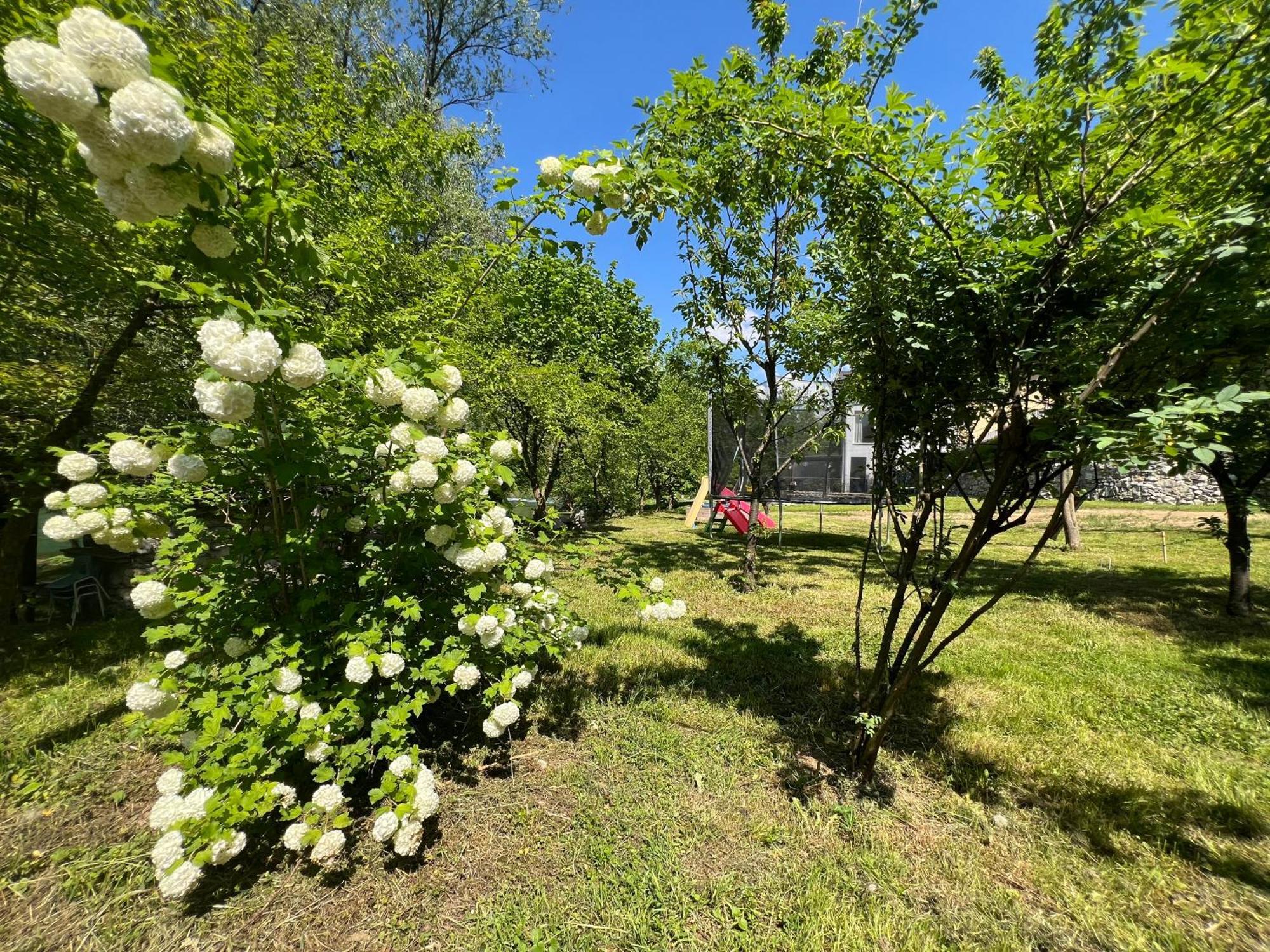 Anur Apartment Bihac Bagian luar foto